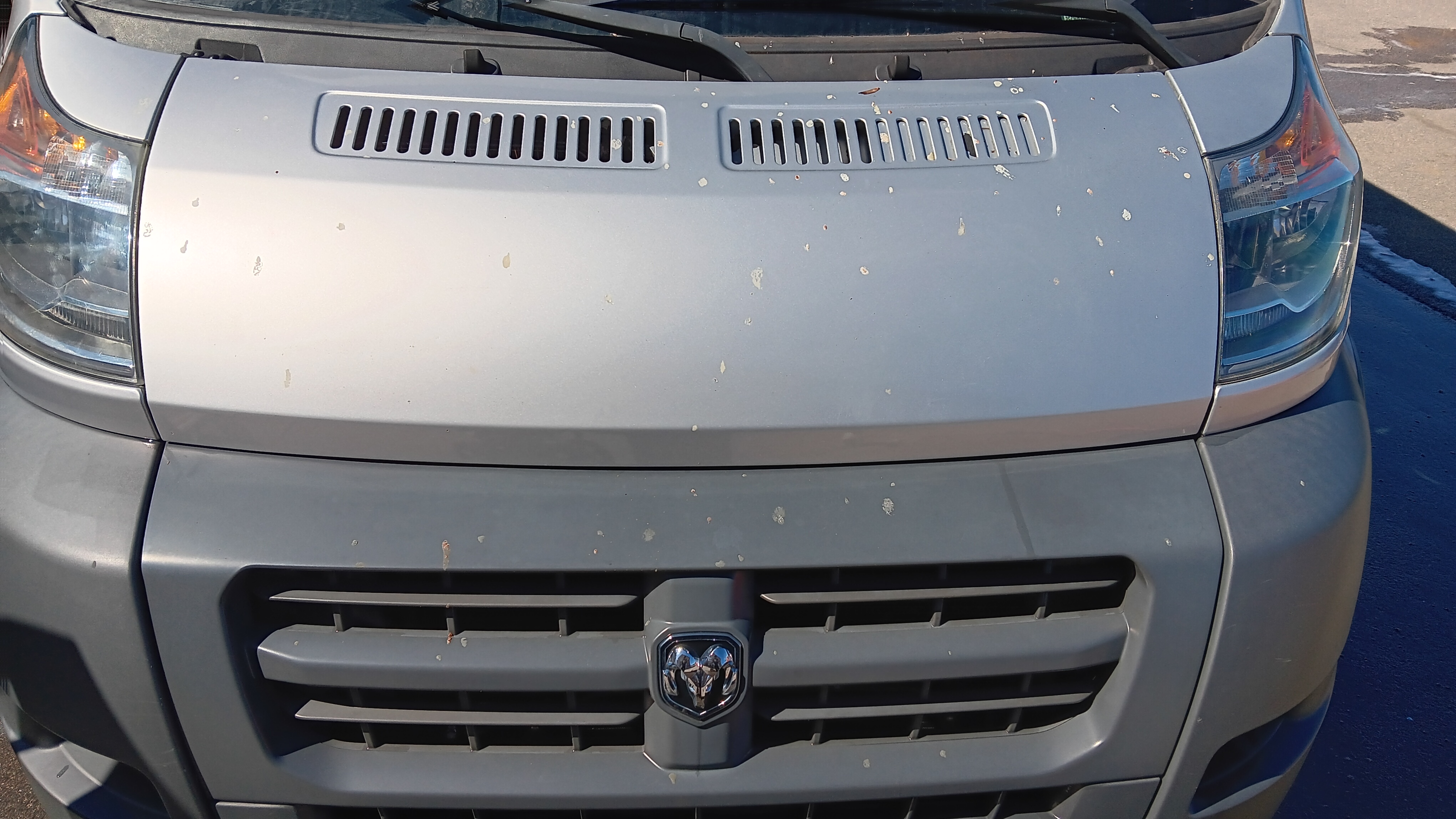RV Camper wash and heavy bug removal in Chesapeake, Virginia — Before